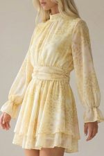 Sheer Crepe Mini Dress